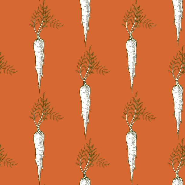 彩色背景上的植物特写镜头图片下载