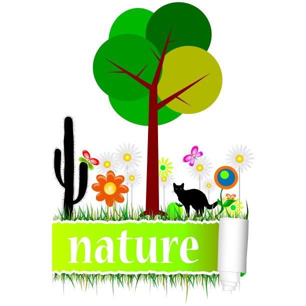 自然与花艺图片下载