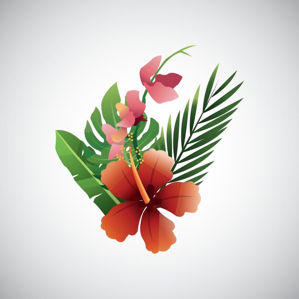 热带花卉设计花卉图标自然图片下载