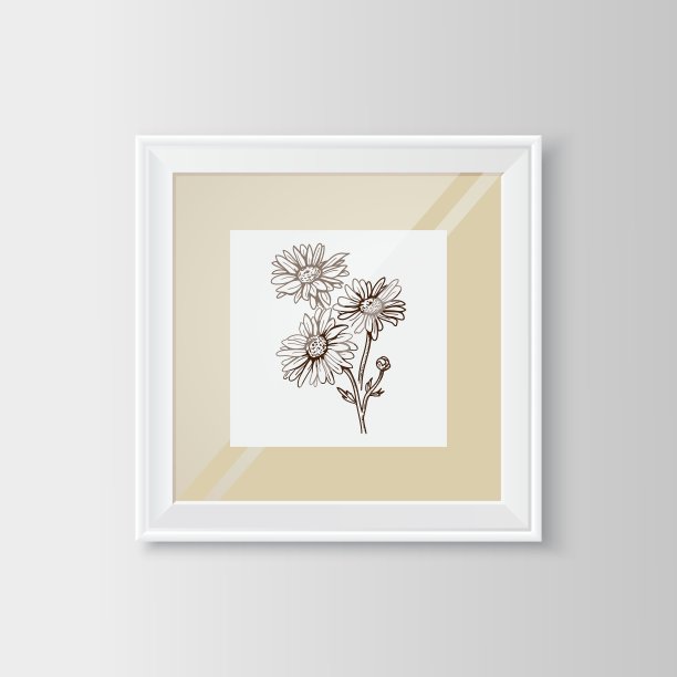 镜框里的甘菊素描图片下载