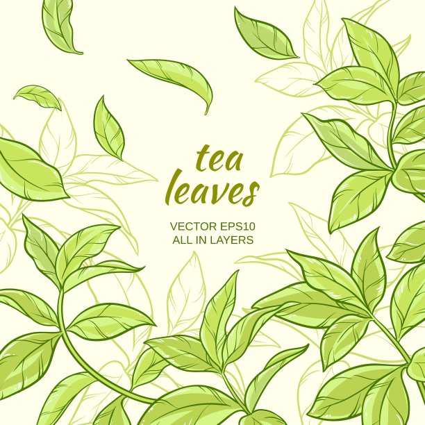 茶叶背景图片下载