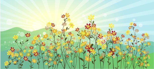 长满鲜花的绿色草地图片下载