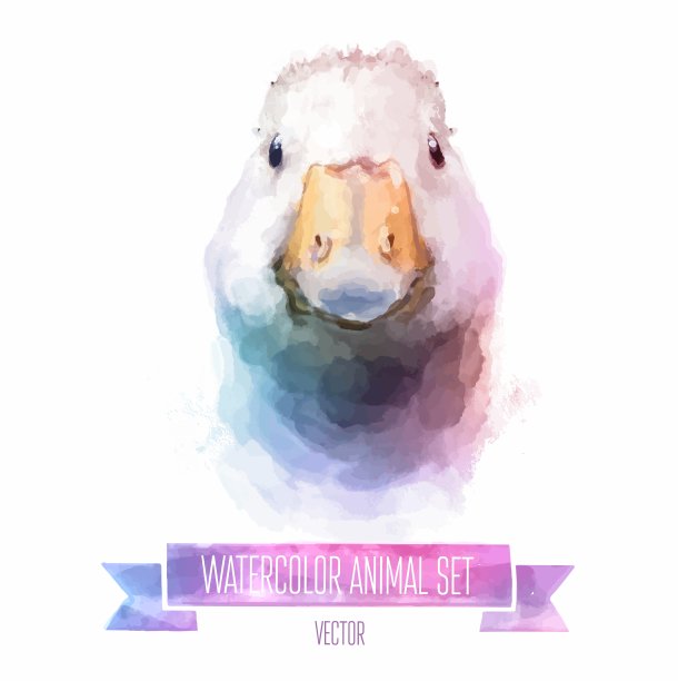 可爱的鹅水彩画套装图片下载