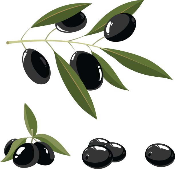 一组带叶子的黑橄榄图片下载