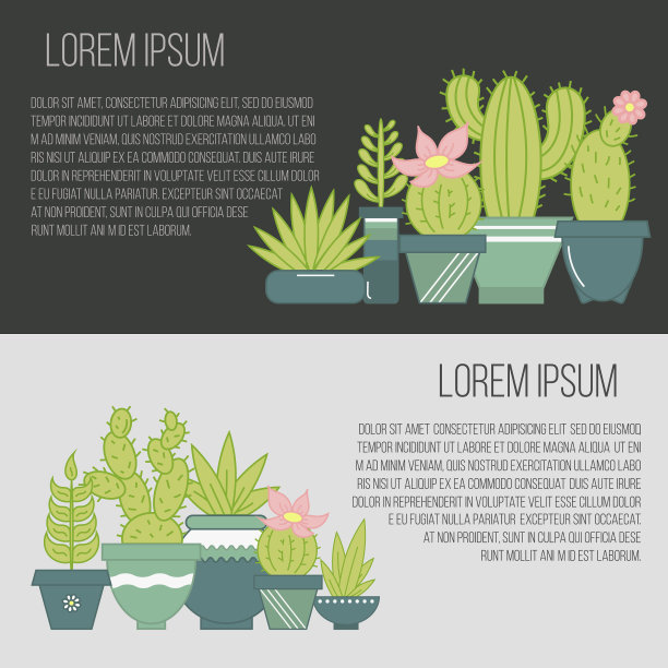 有多肉植物和图片下载