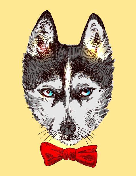 素描的哈士奇图片下载