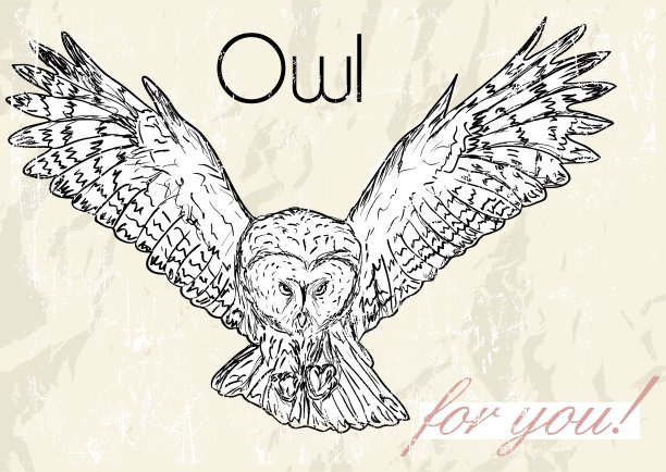 猫头鹰复古风格的海报图片下载