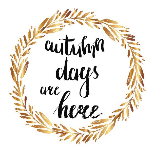 手绘秋圆金早午餐框架和图片下载