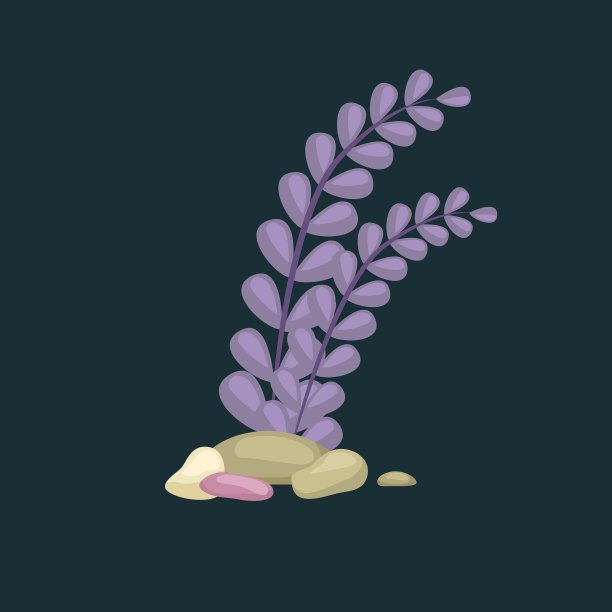 海藻孤立了彩色的珊瑚和海藻图片下载