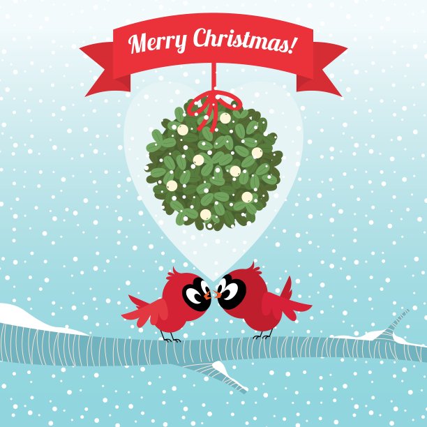 圣诞的小鸟在槲寄生的树枝下接吻图片下载