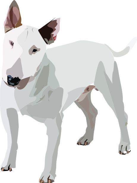 斗牛梗图片下载