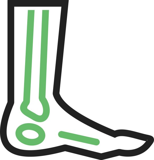 足部骨骼图片下载