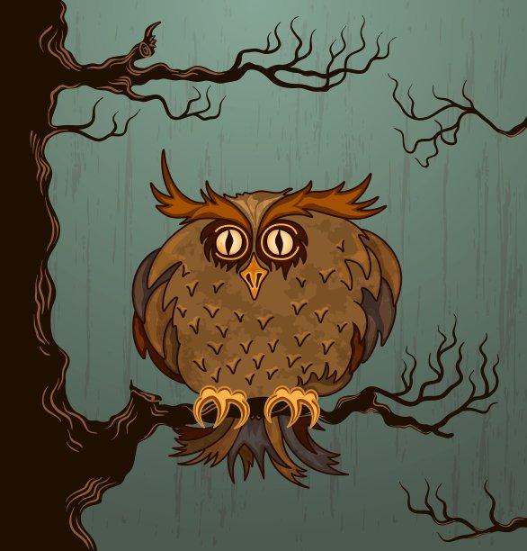 可爱的猫头鹰图片下载