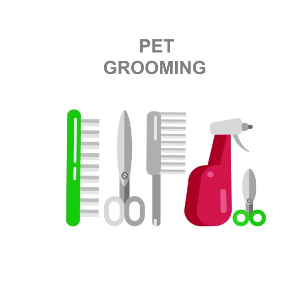 高质量的兽医对象和图标图片下载