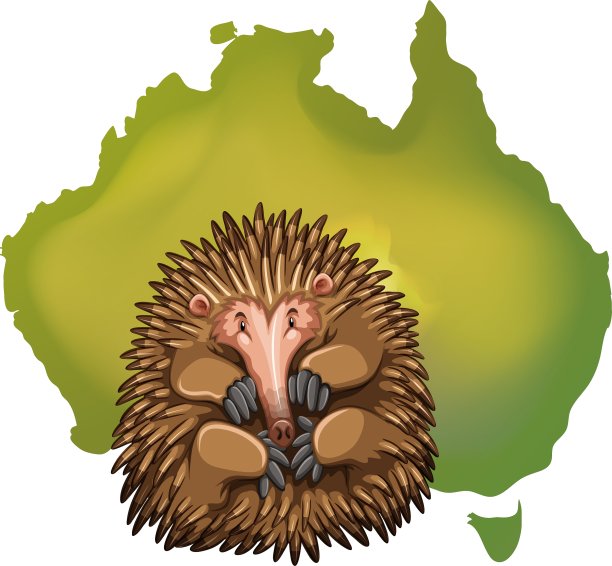 针鼹和澳大利亚地图图片下载