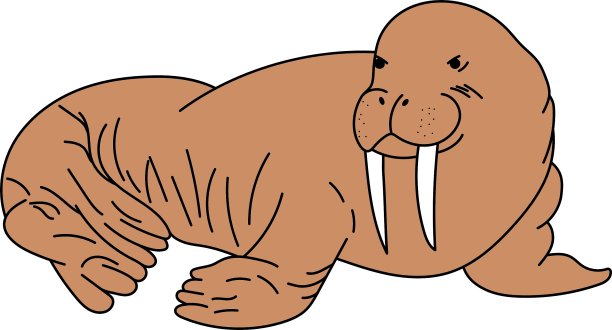 海象的细节图片下载