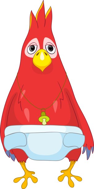 有趣的小鹦鹉图片下载