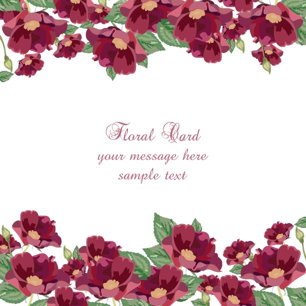 海葵花牌图片下载