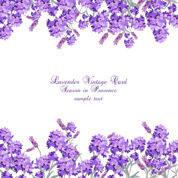 薰衣草卡片与花在水彩画图片下载