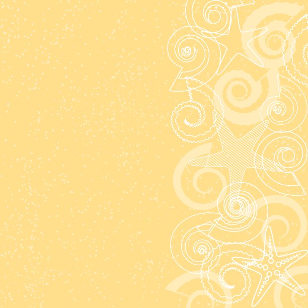 卡片上有贝壳和海星图片下载