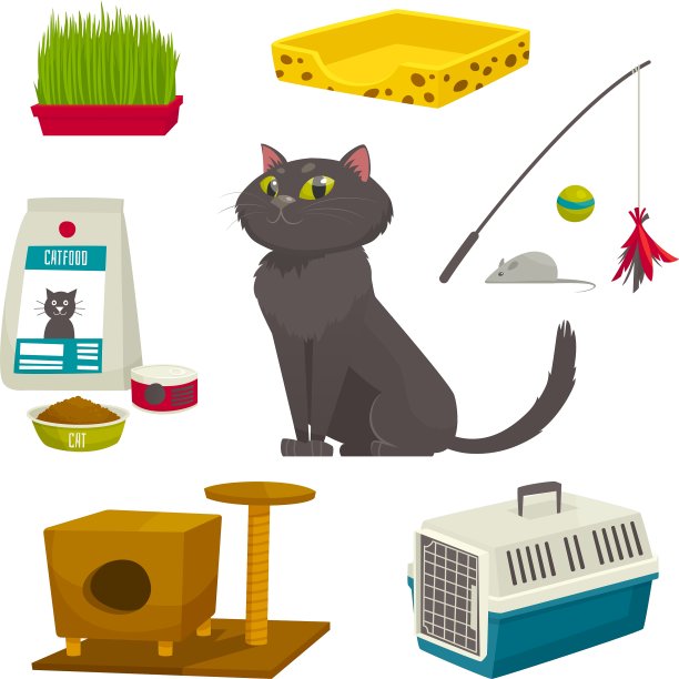 猫对象套装物品和卡通物品图片下载