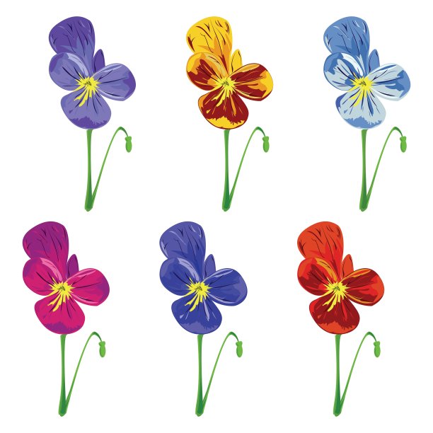 六色三色紫罗兰图片下载