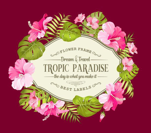 美丽的热带卡图片下载