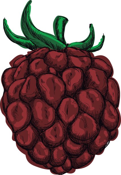 黑莓图标水果设计图形图片下载
