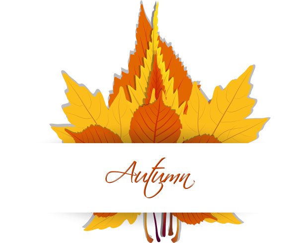 秋叶背景图片下载