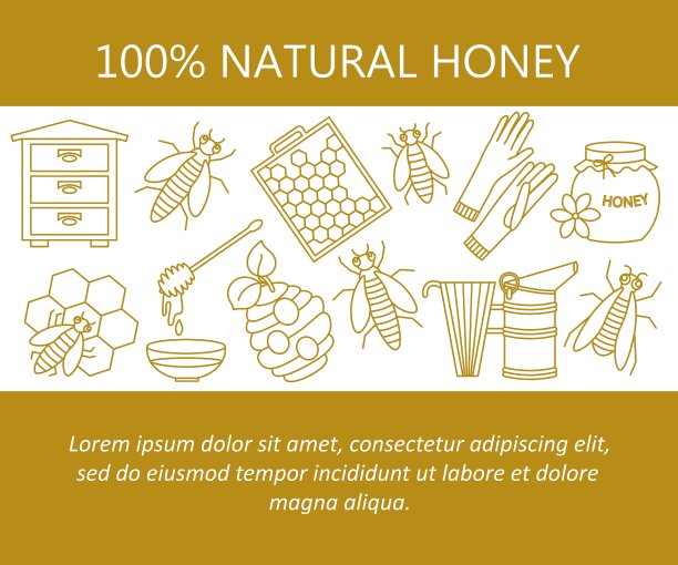 蜂蜜卡片与细线图标图片下载