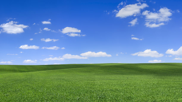全景春天景观，xxxxl50mpix -绿色的田野，蓝色的天空图片下载
