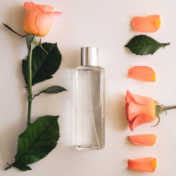 白色背景上有玫瑰花香的香水图片下载
