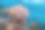 色彩斑斓的珊瑚礁在清澈的海水中形成图片下载