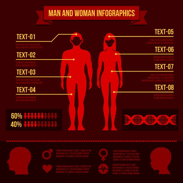 一套男人和女人信息图表元素图片下载