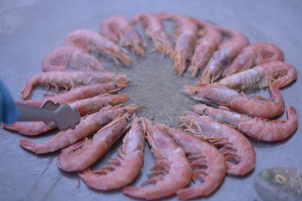 虾(海鲜)图片下载