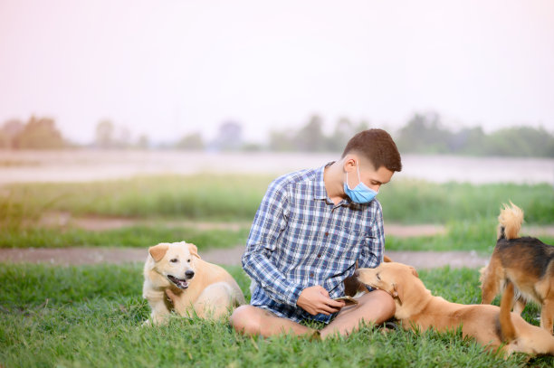 医疗保健/医药/动物/野生动物图片下载