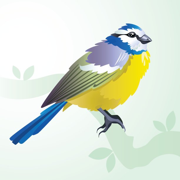 春天的插图图片下载