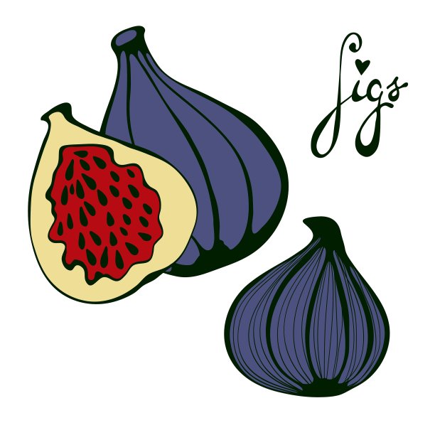 手绘无花果生态食品图片下载