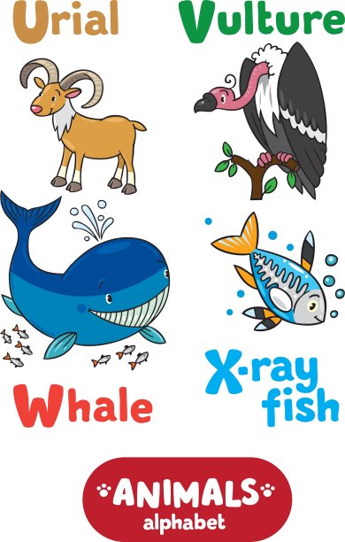 动物字母表或ABC图片下载