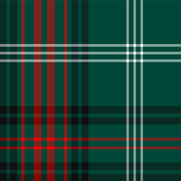 无缝矢量多色格子图案。格子图案的背景。经典时尚华丽的图案。适用于织物、纺织品、包装、覆盖等。图片下载