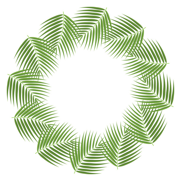 花环从卡通详细的异国情调椰子叶与文字空间。卡通有机甜食。夏日水果，健康生活方式。矢量插图为任何设计。图片下载