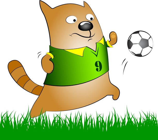 足球猫图片下载