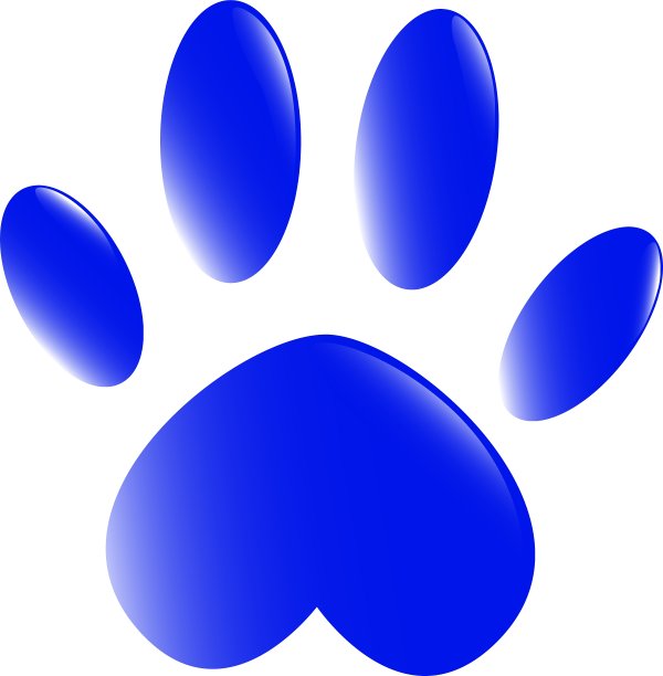 白色背景下蓝色心形的特写镜头图片下载