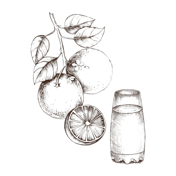 手绘草图橙色设计图片下载