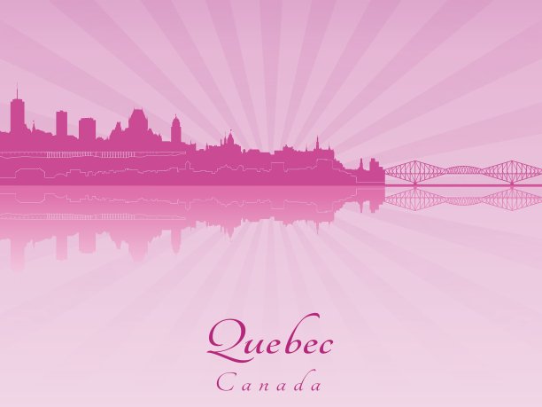 魁北克的天际线在紫色灿烂的兰花图片下载