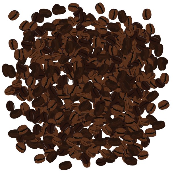 逼真的咖啡豆插画图片下载