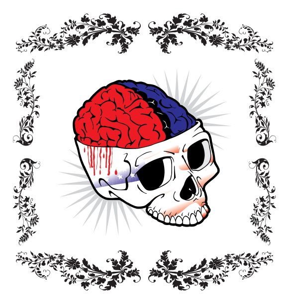 美国大脑头骨图片下载