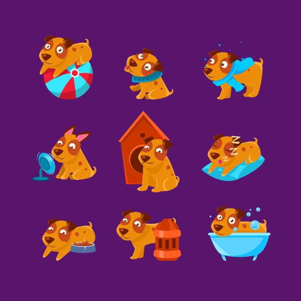 宠物狗每天的活动设置图片下载