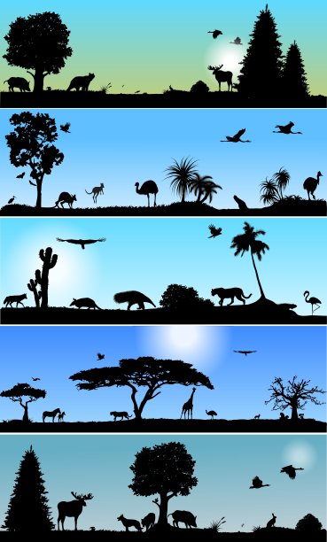 收集动物和植物横幅图片下载