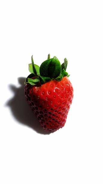白色背景上的草莓图片下载